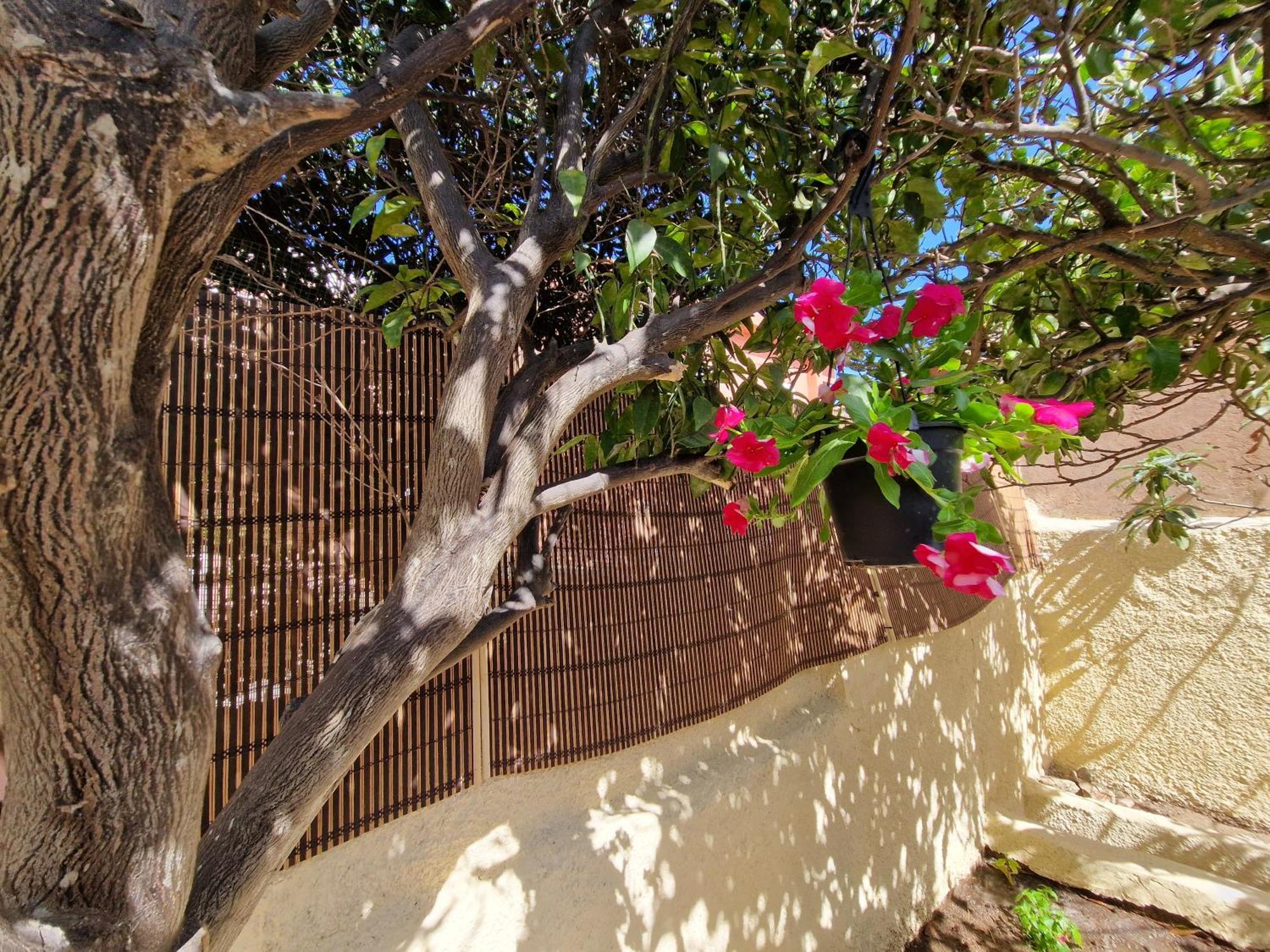 La Maddalena Holiday Home Bagian luar foto